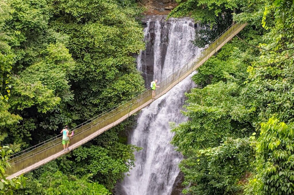 Los Campesinos Waterfalls